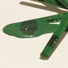 ��핂̂Ԃ䂫 -Nobuyuki Osaki-