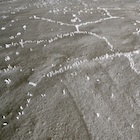 �I�������Y�{�⌎���� studio velocity�W