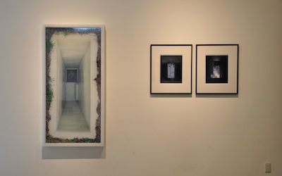 ���c�ܘY�t�B�[���h���[�N�u�����܂ŕ����v