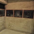 �uMangrove ship- �΂̑D�̃v���W�F�N�g�v