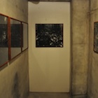 �uMangrove ship- �΂̑D�̃v���W�F�N�g�v