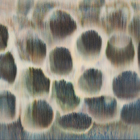 ���i�o�� -Kakuya Fujinaga-