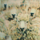 ���i�o�� -Kakuya Fujinaga-