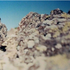 ����P��^Kunihiro Ono