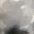 ���ʁA�΍p�A�J�����@�X���P