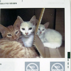 MUCH LOVED /�G�����q�����}�����E�O�H�����Y�r