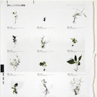 MUCH LOVED /�G�����q�����}�����E�O�H�����Y�r