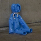 �W�����i