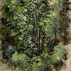 ��΂�����