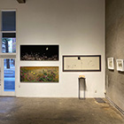 �W�����i