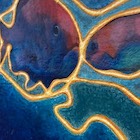 �W�����i