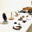 �W�����i