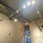 �W�����i