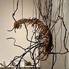 �W�����i