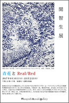 [青花とReal / Red]